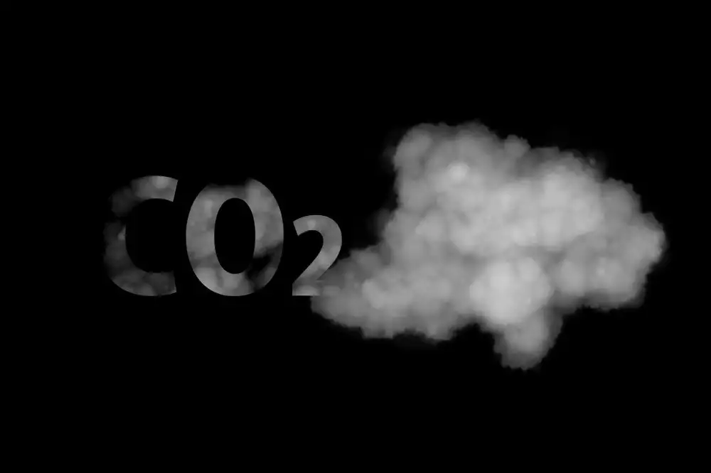 Co Nás Čeká V Roce 2024
