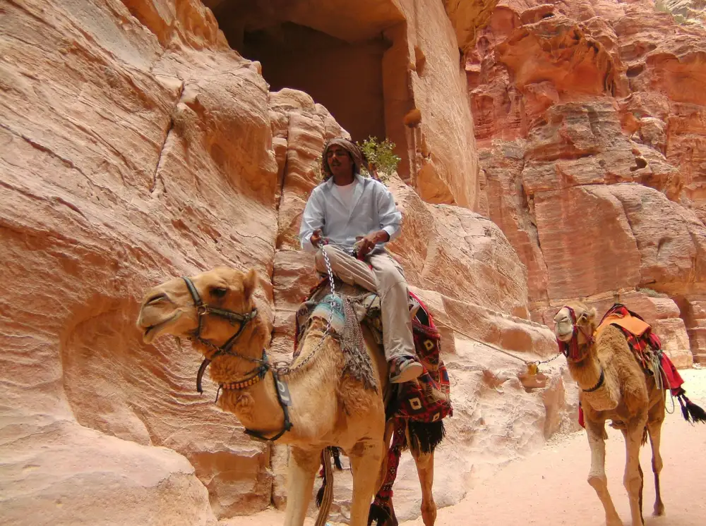 Petra Finance