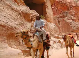 Petra Finance